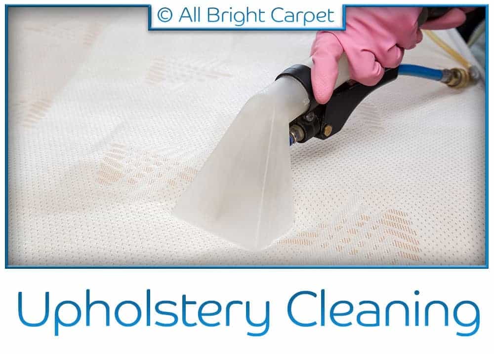 Upholstery Cleaning - Brooklyn