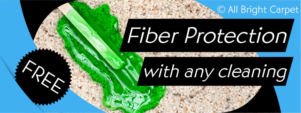Free Fiber Protection with All Cleaning - Brooklyn